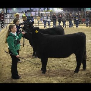 Meet your Posher, Caitlyn